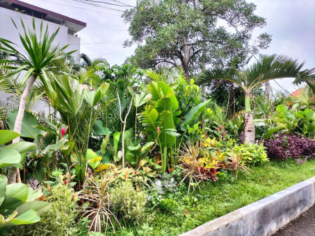 Taman Gedung Bukti Partisipasi Menuju Low Carbon Society