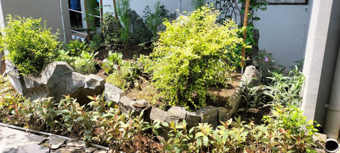 Selamatkan Taman Mati Dengan Renovasi