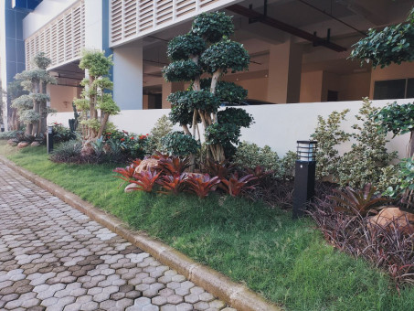 Taman Indah, Ruang Terbuka Hijau Bertambah