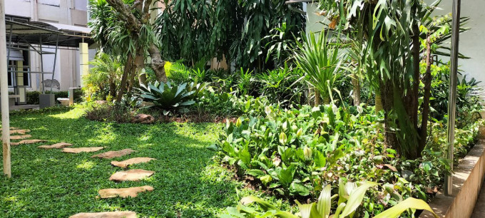 Selamatkan Taman Mati Dengan Renovasi