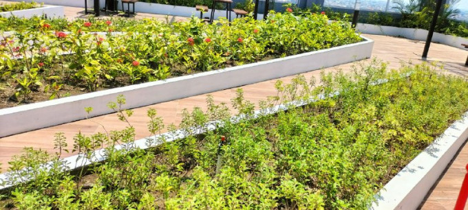 Usung Konsep Green Building, DITSARPRAS Hadirkan Taman Rooftop