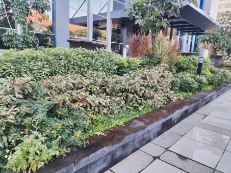 Taman Indah, Ruang Terbuka Hijau Bertambah