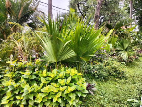 Taman Gedung Bukti Partisipasi Menuju Low Carbon Society