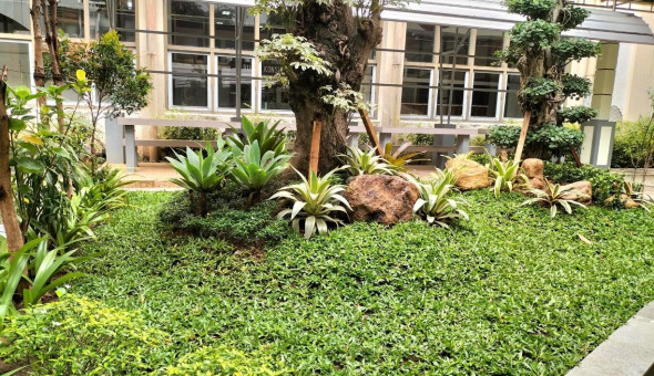 Selamatkan Taman Mati Dengan Renovasi
