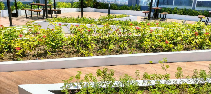 Usung Konsep Green Building, DITSARPRAS Hadirkan Taman Rooftop